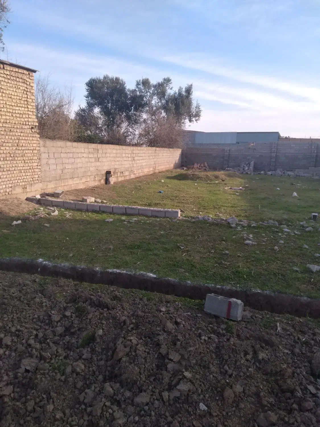 زمین مسکونی خیابان جنگلده