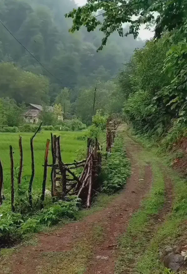 اجاره زیر زمین انباری تجاری