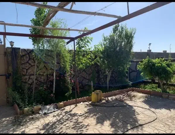کاخ تنگ چنار