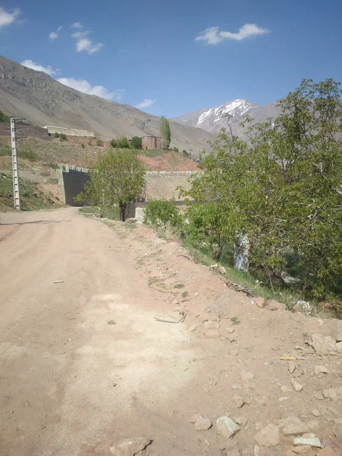 باغچه باغ زمین