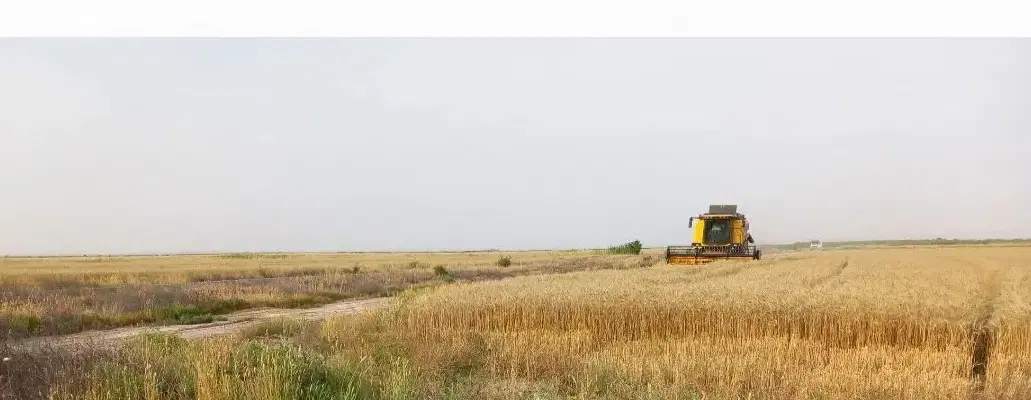 فروش یک هکتار زمین کشاورزی