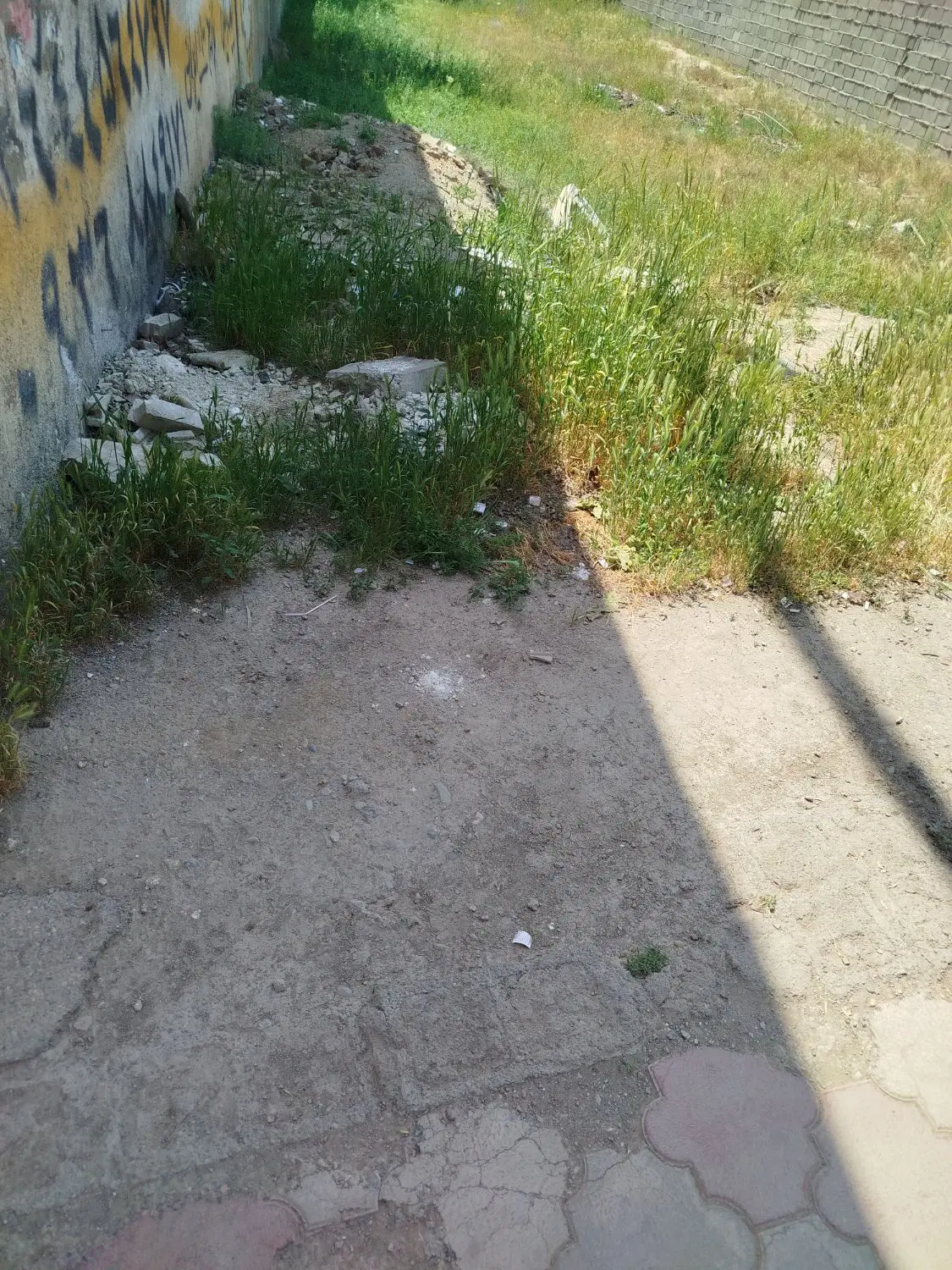 زمین 136 متری