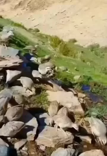 فروش زمین مسکونی دهنو میلاس