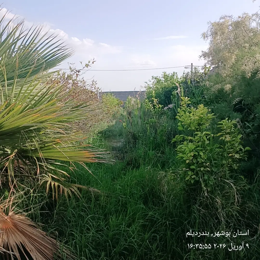 زمین باغی در کم توله ۲