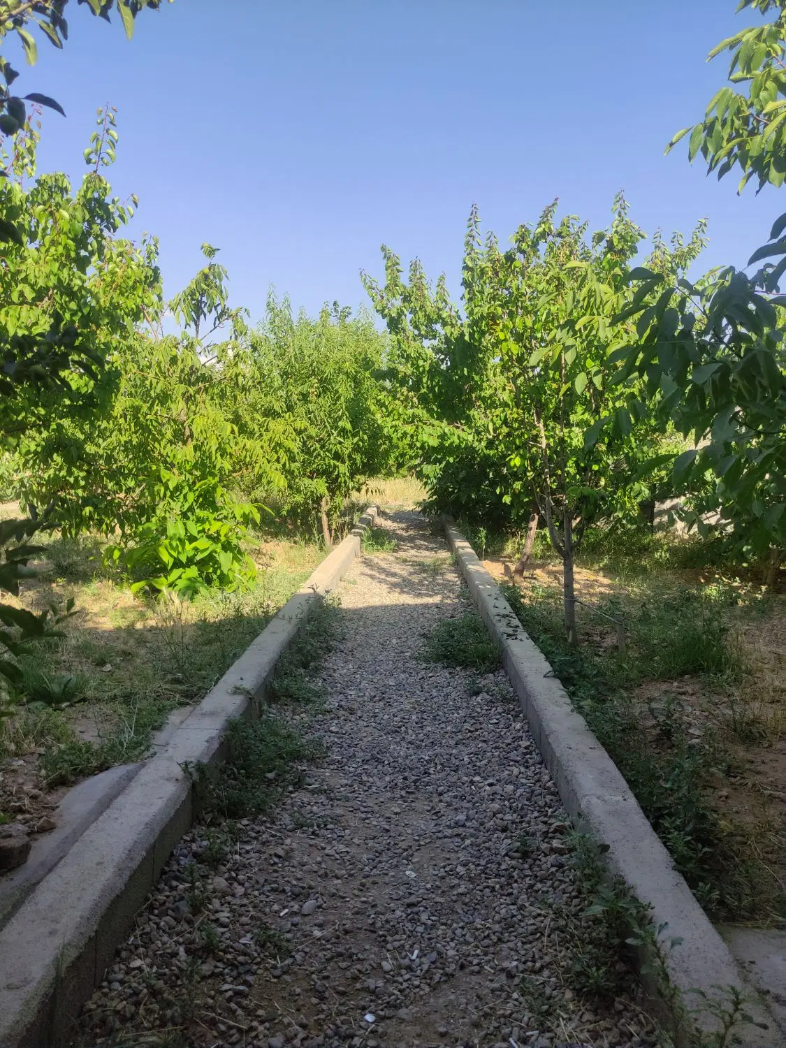 خونه باغ ویلایی لب جاده