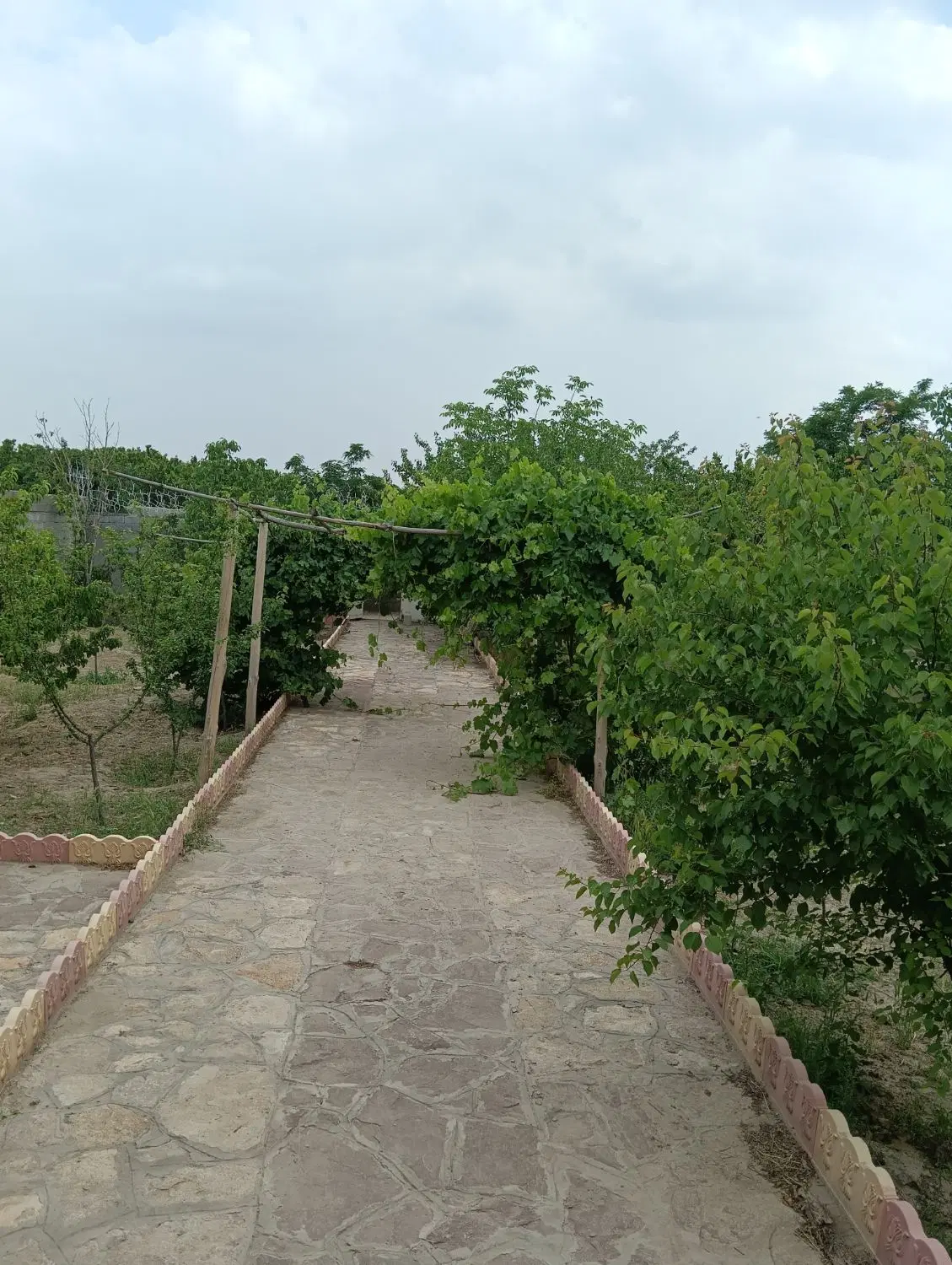 باغ ۶۵۰متری