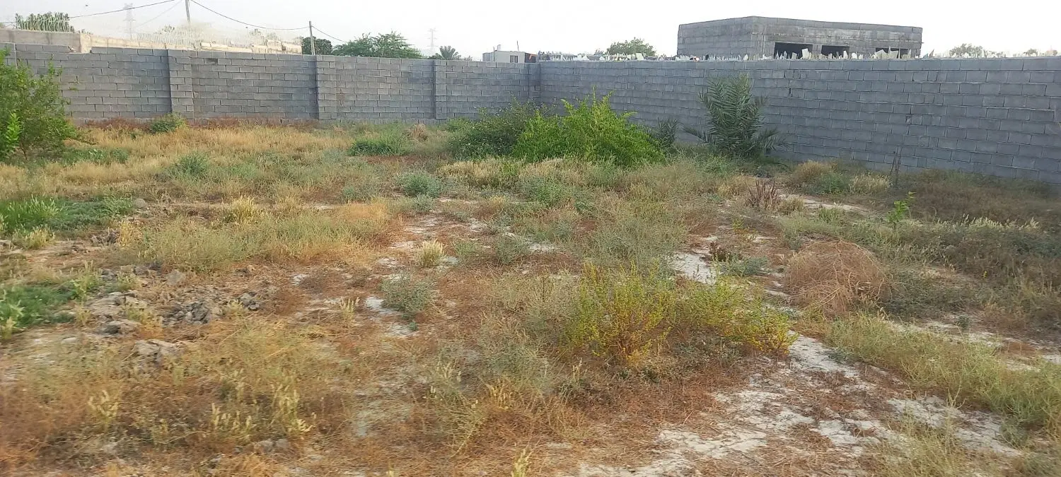 ۱۰۰۰ متر زمین