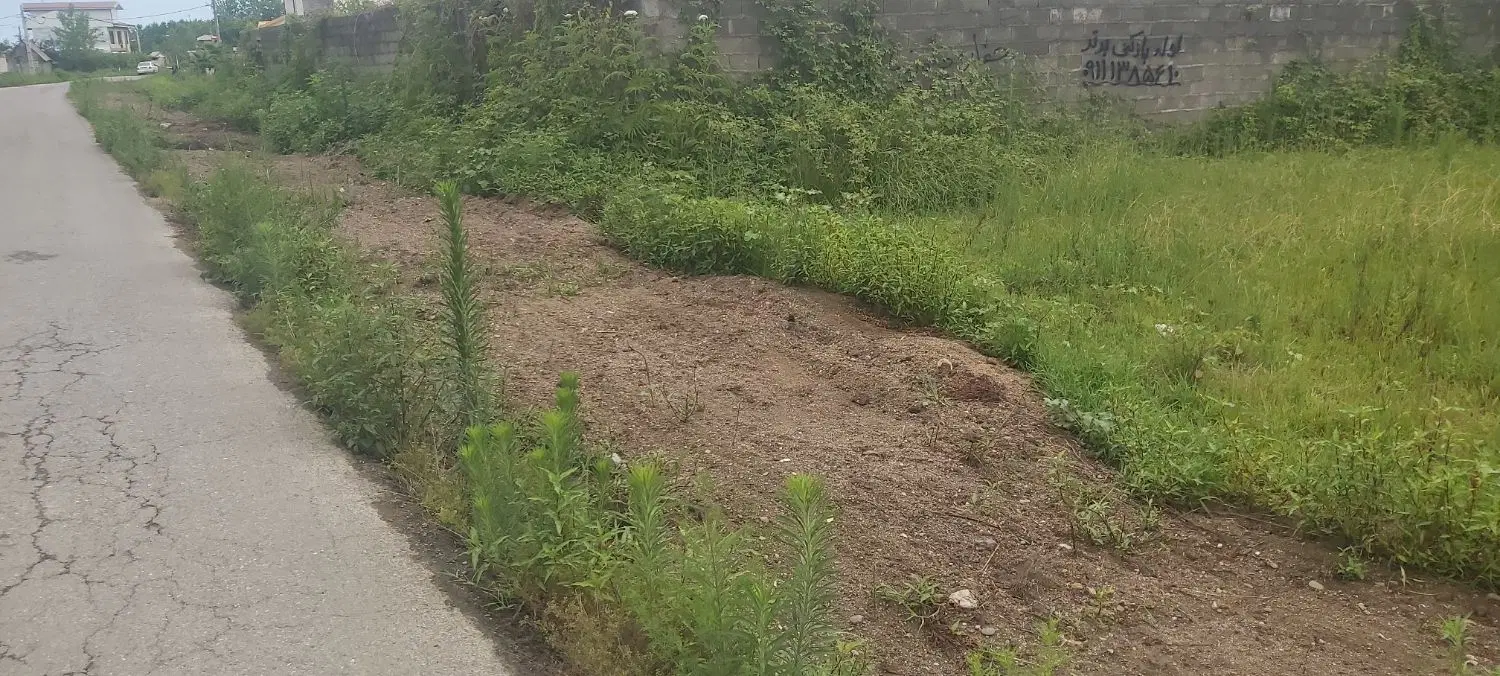 ۲۵۰ متر زمین مسکونی سند تک برگ