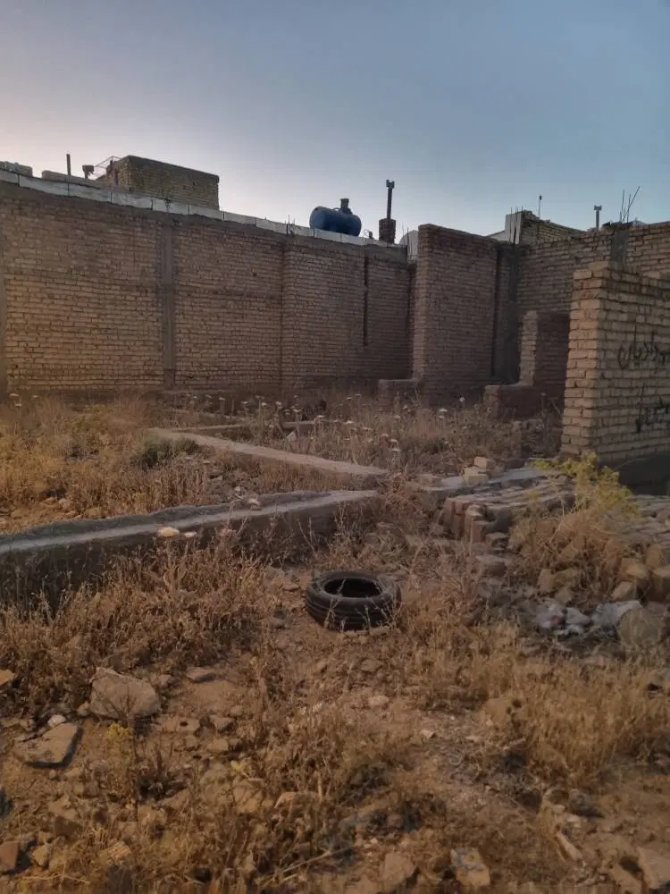 اسکلت ۱۵۰ متری