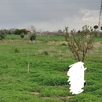 زمین ۲۰۰ متر مربع هفتسنگان شمالی قزوین