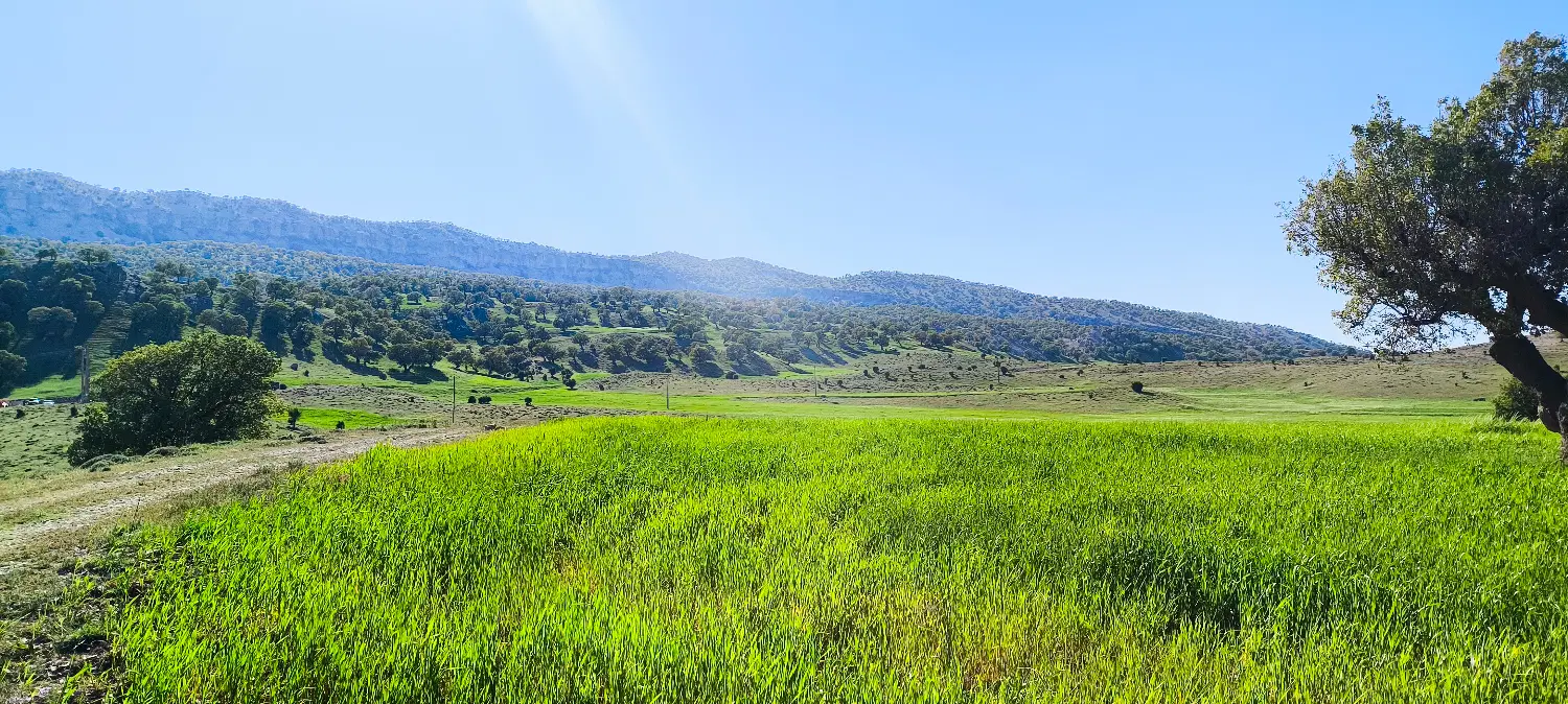 فروش زمین سرطاف