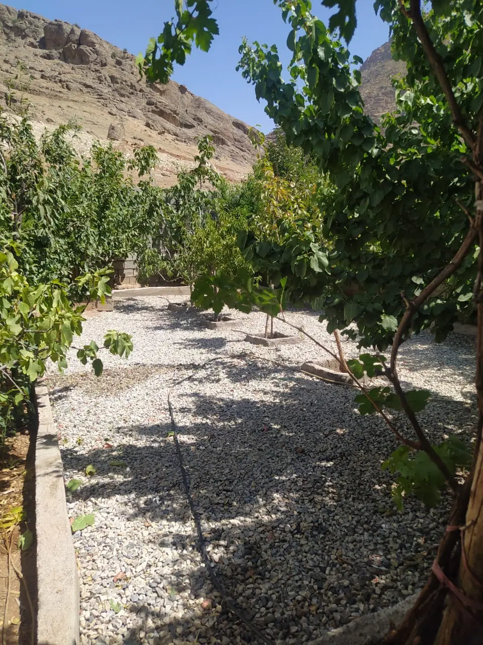 خونه باغ 3طبقه