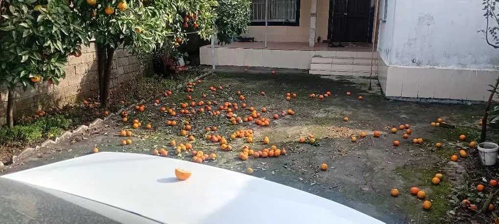 ویلا در محمود اباد مازندران