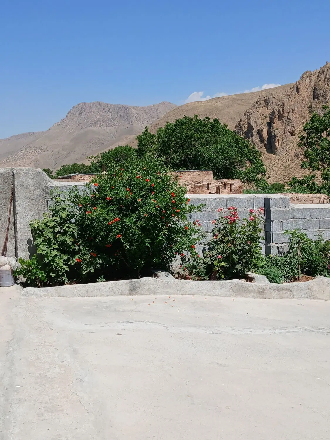 فروش باغ