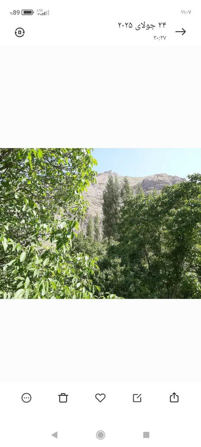 زمین و ویلا