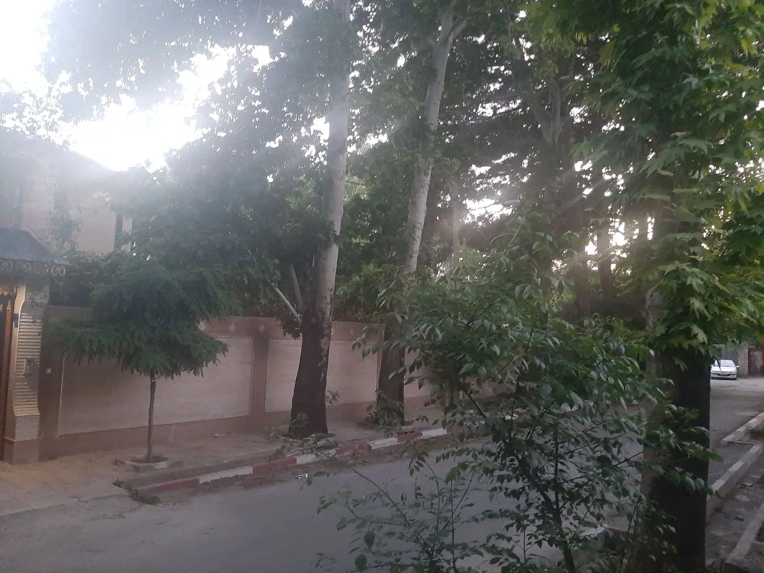 ۲۰۰ متر چهاردیواری داخل بافت قاصدک