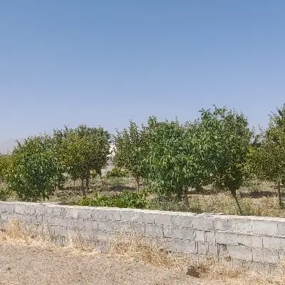 زمین باغی فروشی تنگران