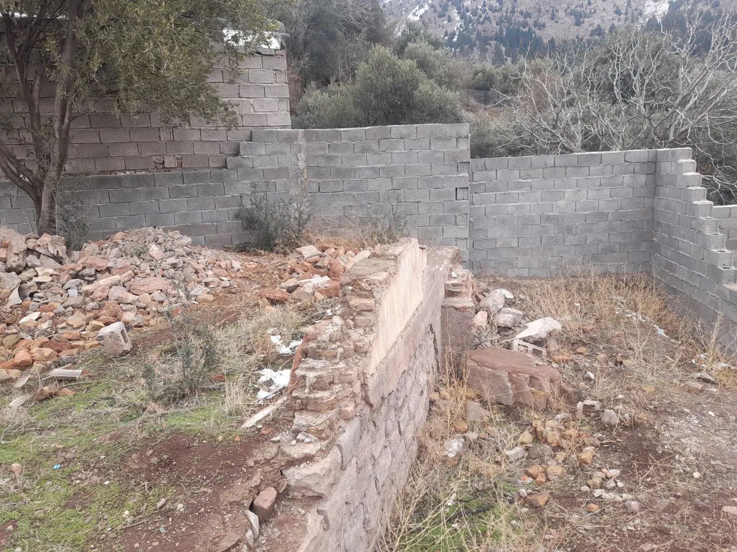 زمین مسکونی ویلایی باغی