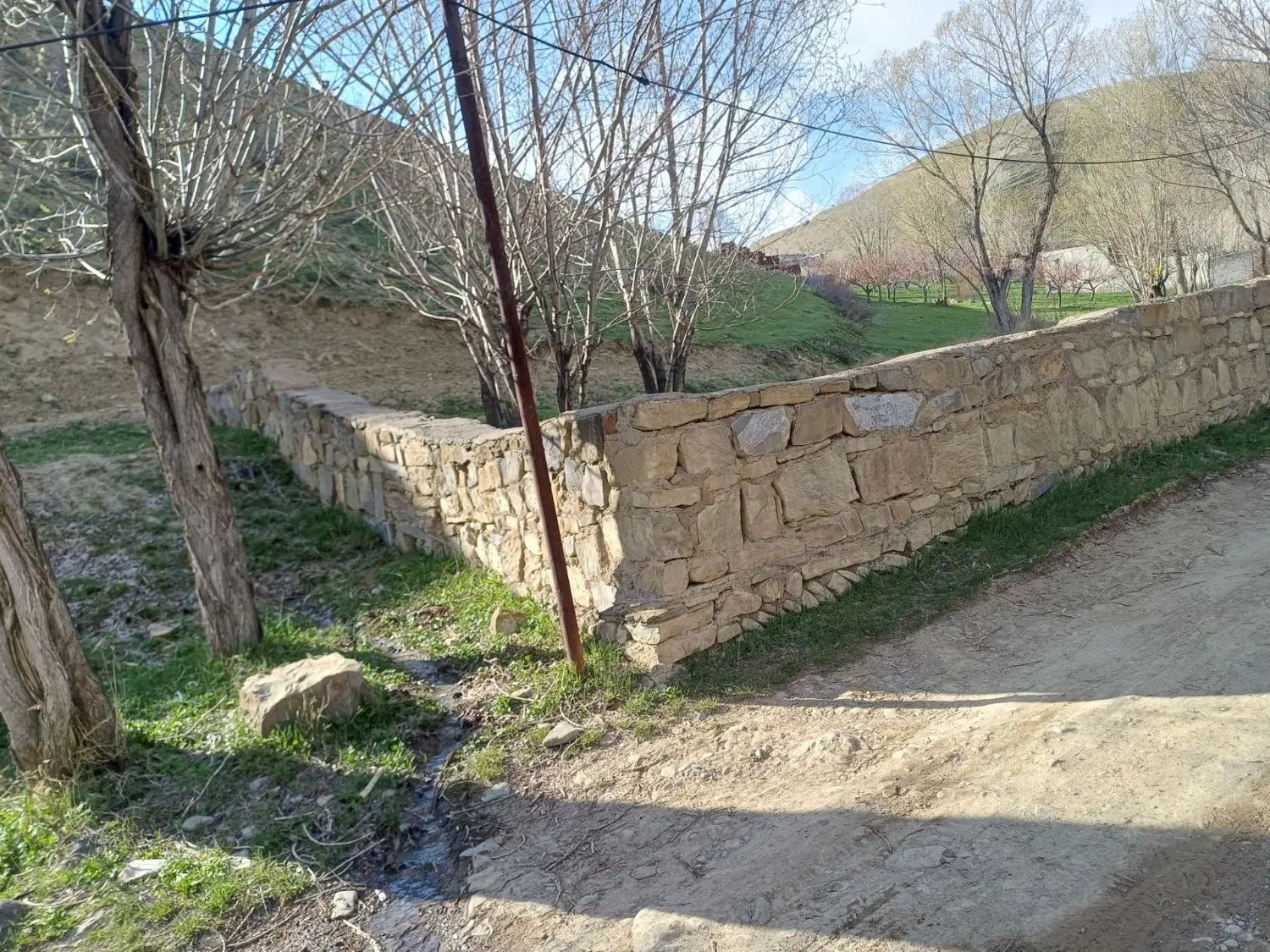 زمین باغی در روستای گلوجه