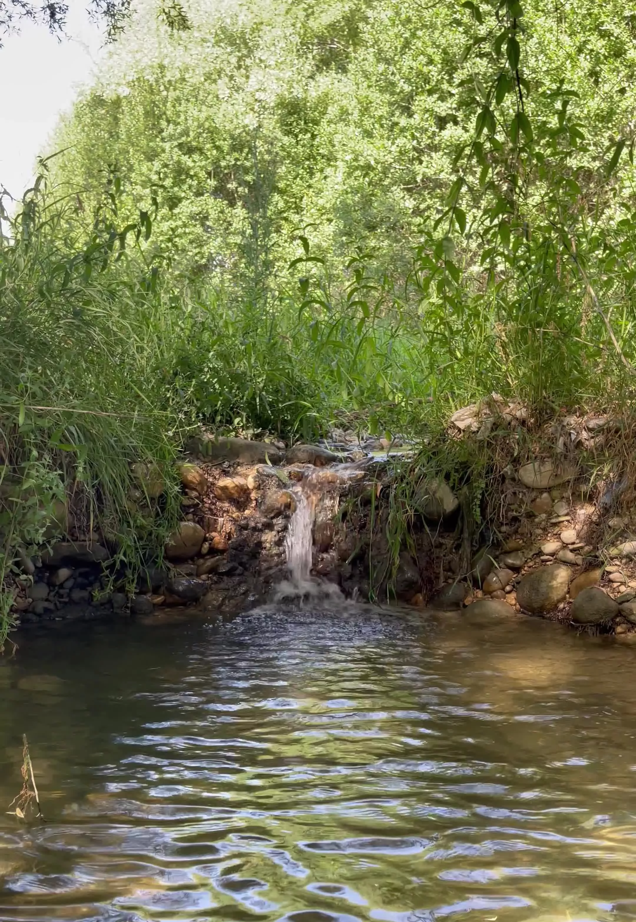 *باغ سکو و آلاچیق سپیدان سربست*