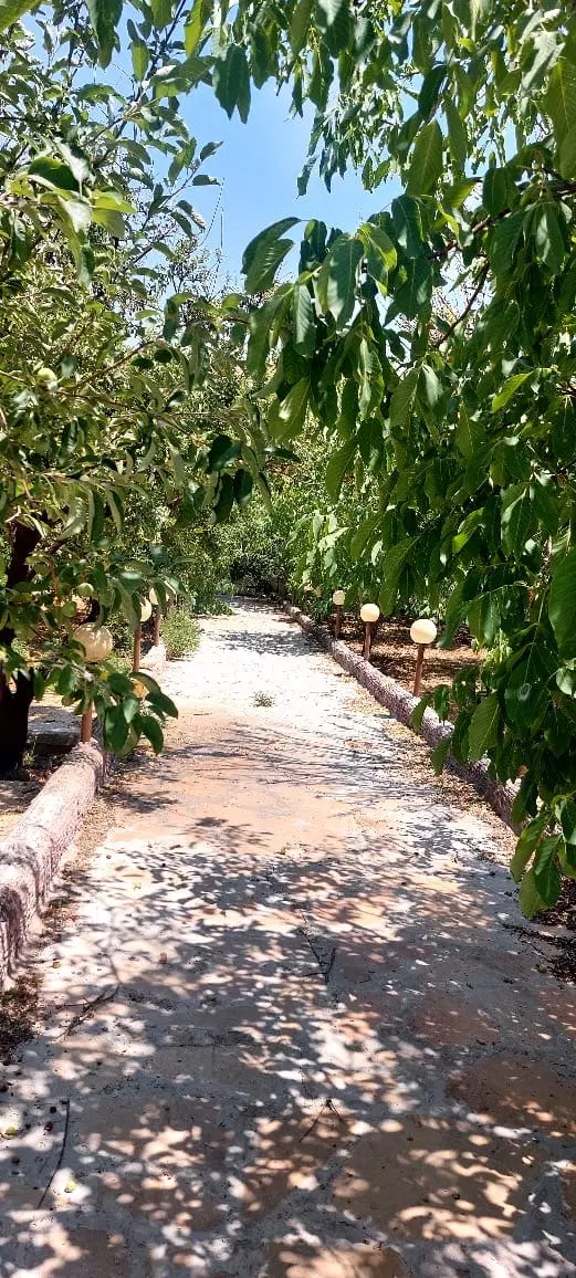 باغ شهری کهمره سرخی