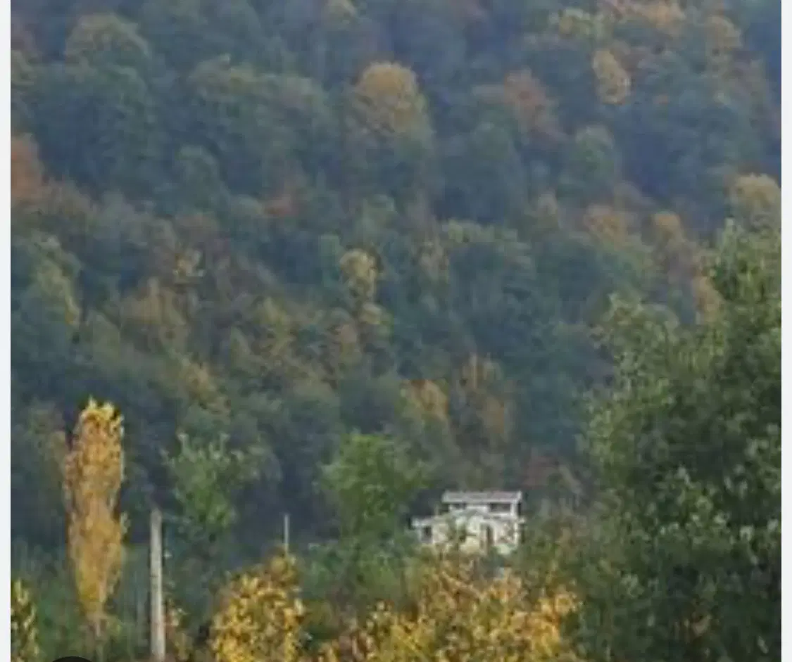 ۲۱۳ متر زمین یکدست