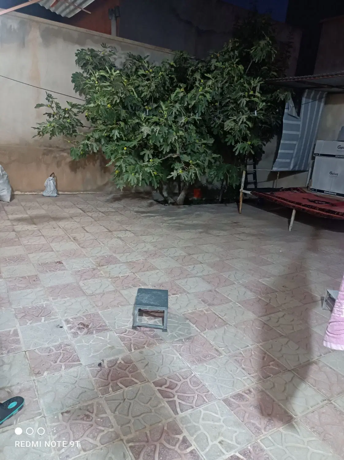 ملک کلنگی