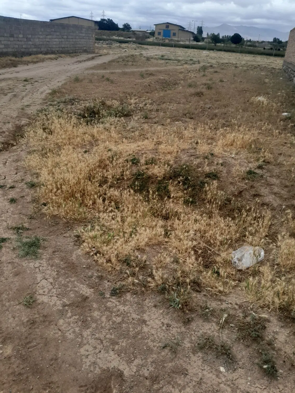 ‌زمین مسکونی
