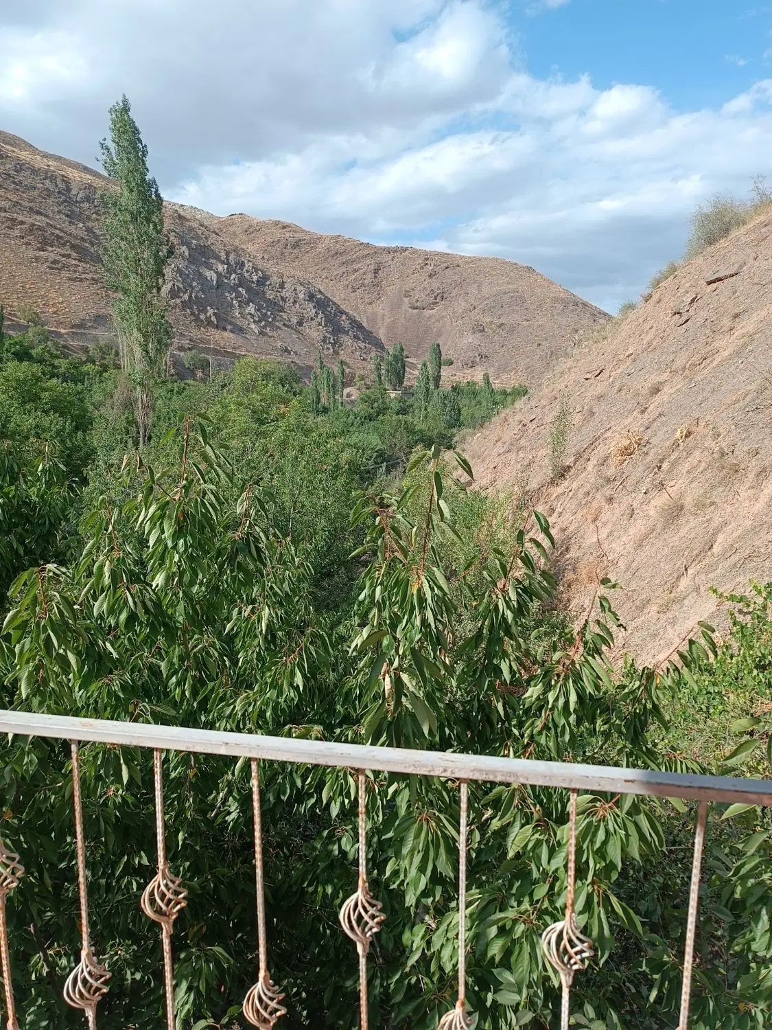 اجاره باغ ییلاقی وجنگلی