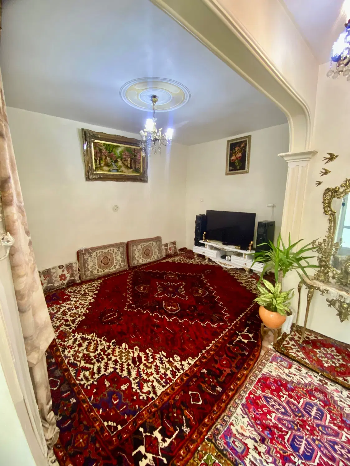 حیاط