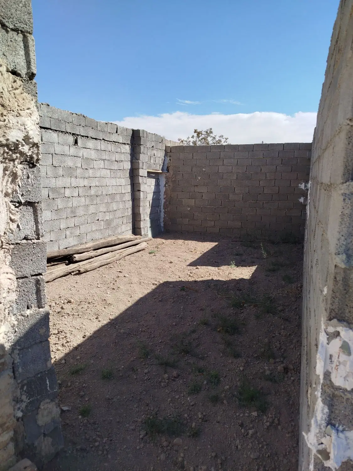 باغ ۱۰۰۰ متری