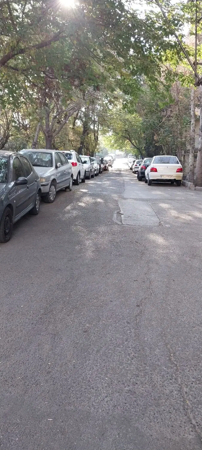 ۱۹۰۰ متر زمین ونک شیخ بهائی