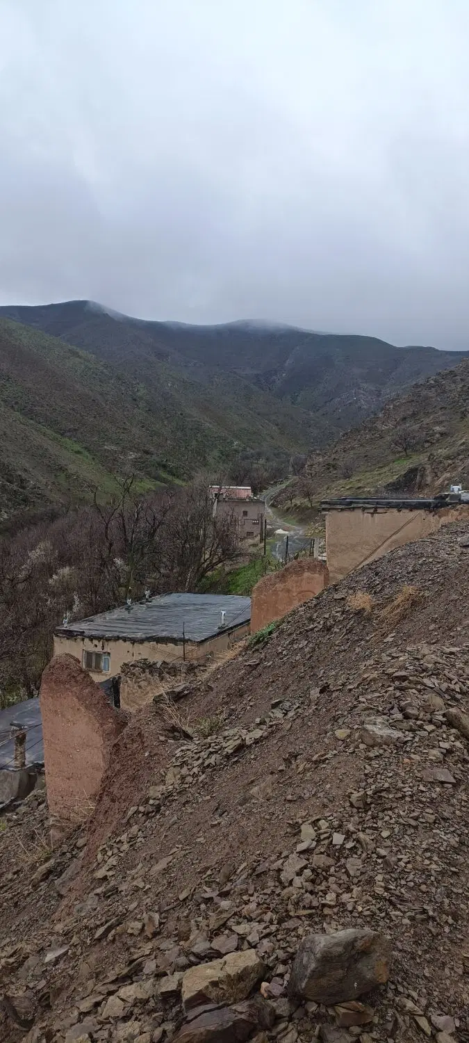 زمین باغی