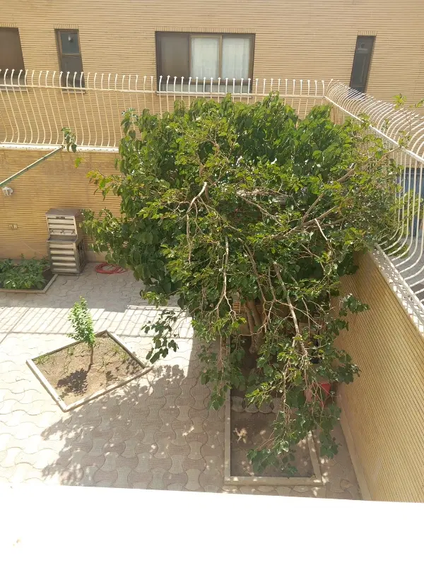 آپارتمان ویلایی منزل ویلایی