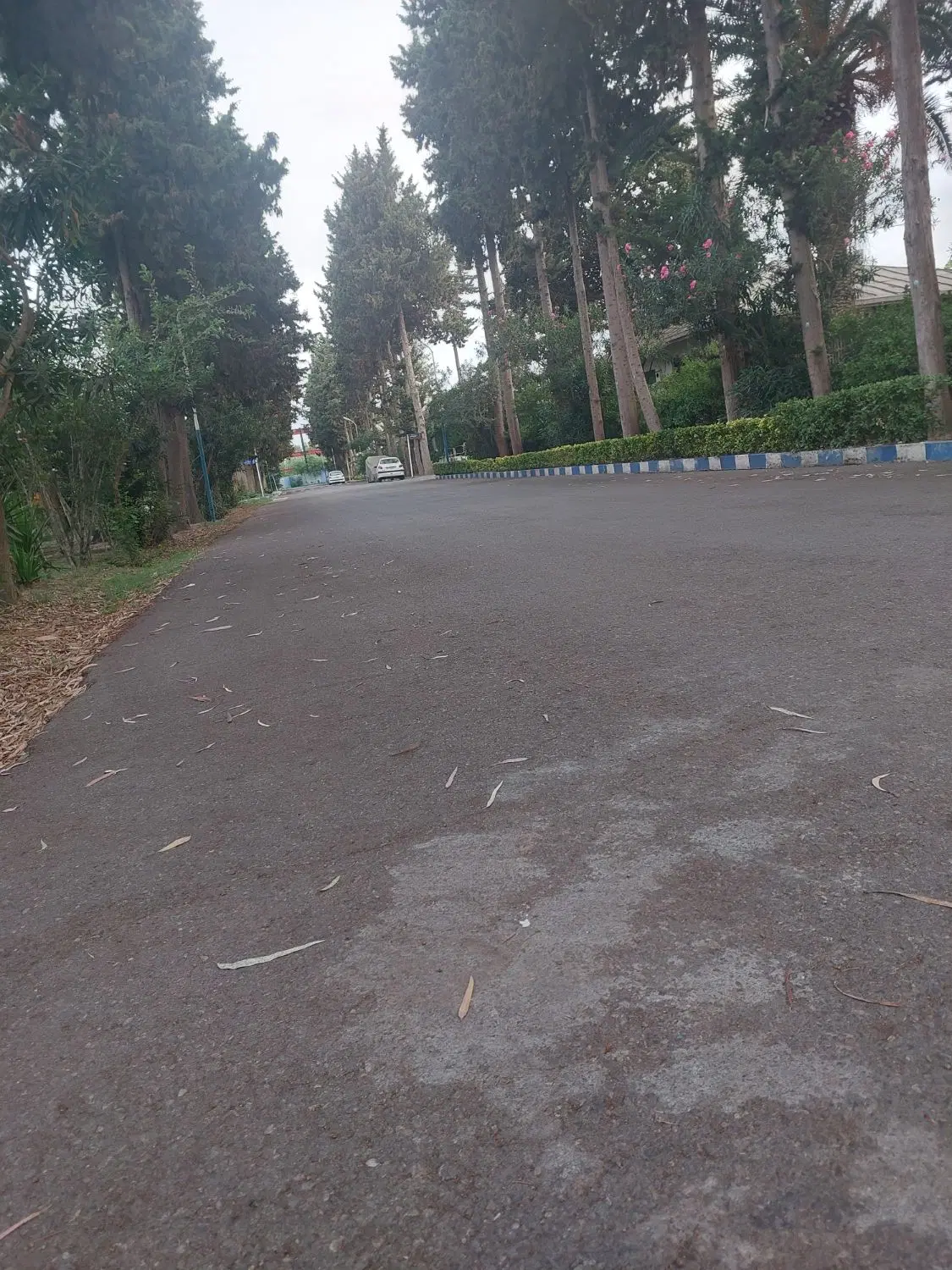 اجاره روزانه دریاکنار