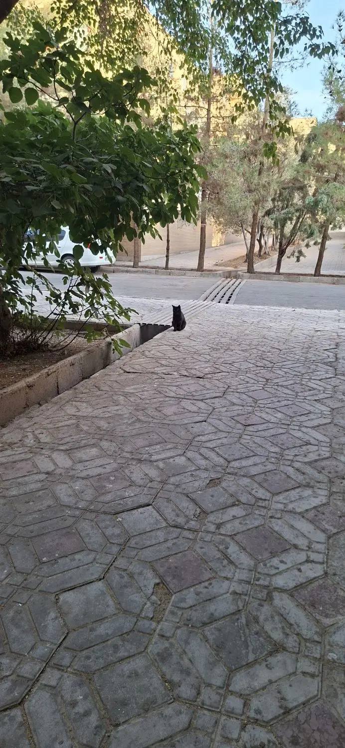 کرایه انبار ۶ متری
