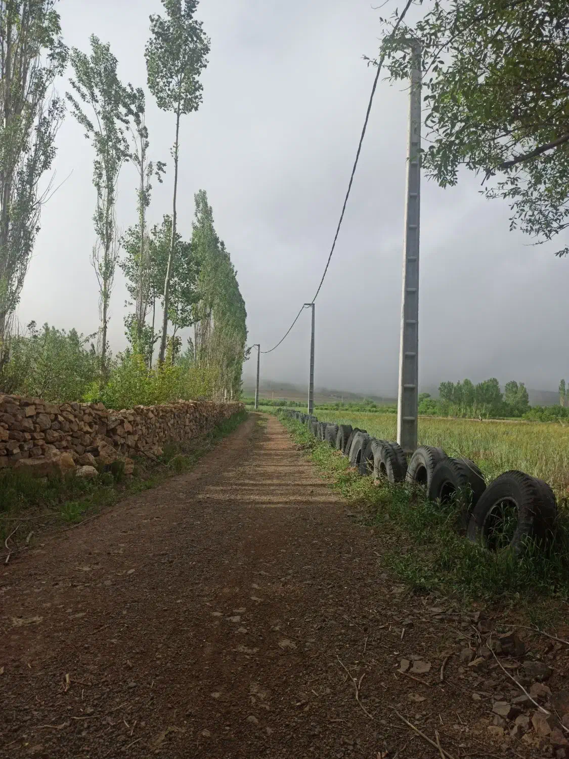 زمین