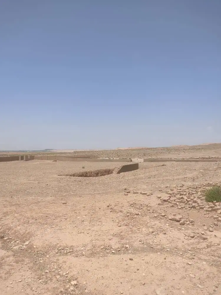 زمین دامپروری و کشاورزی