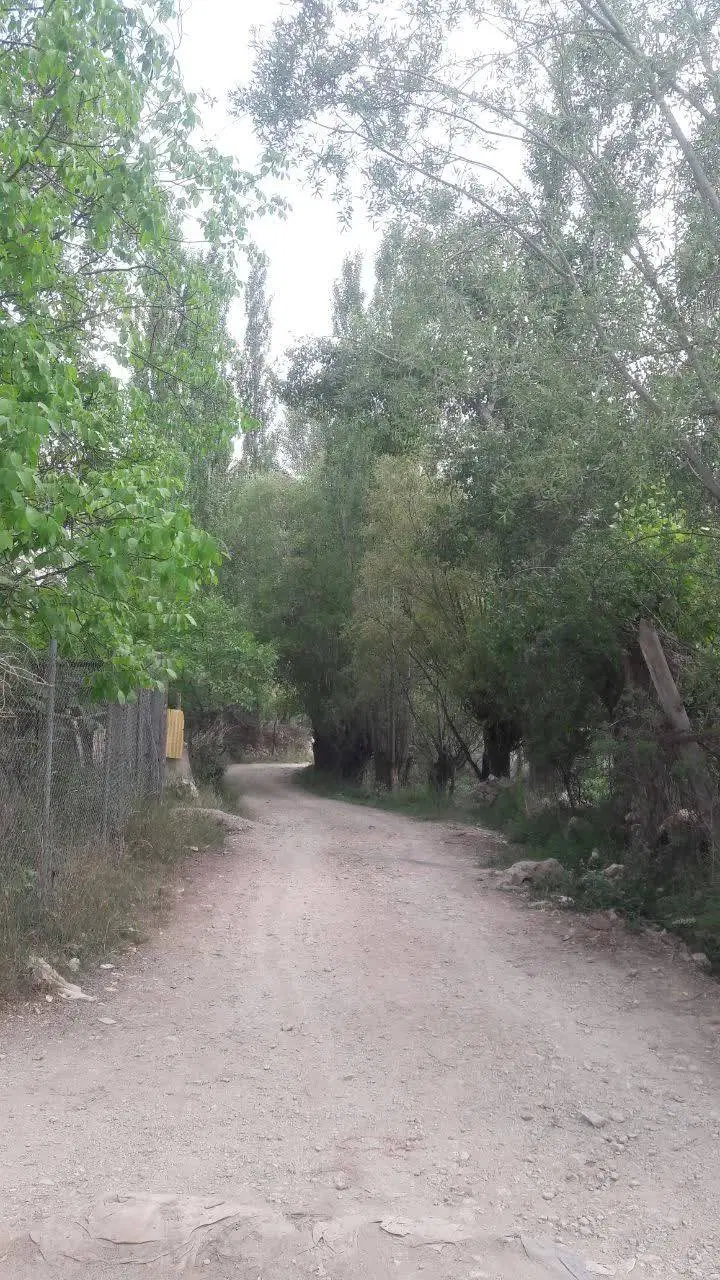 باغی به مساحت ۲۱۵۰ هزارمتر