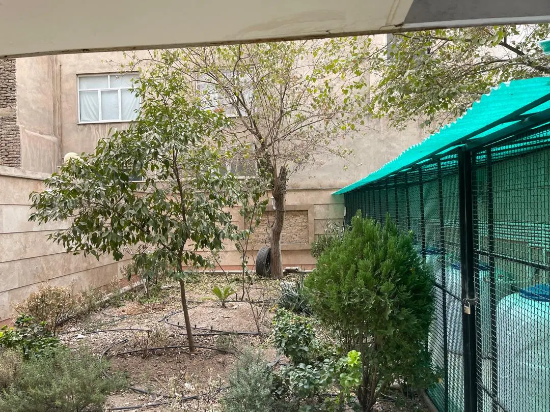 فروش زمین ۲۵۰ متری