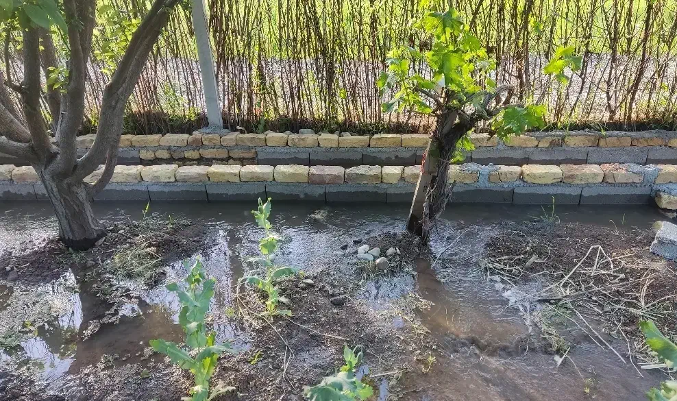 باغ ۱۲۰۰ متری
