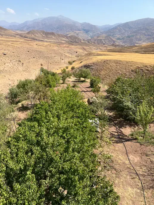 ۵۰۰۰ متر باغ دارای مجوز بومگردی  الموت