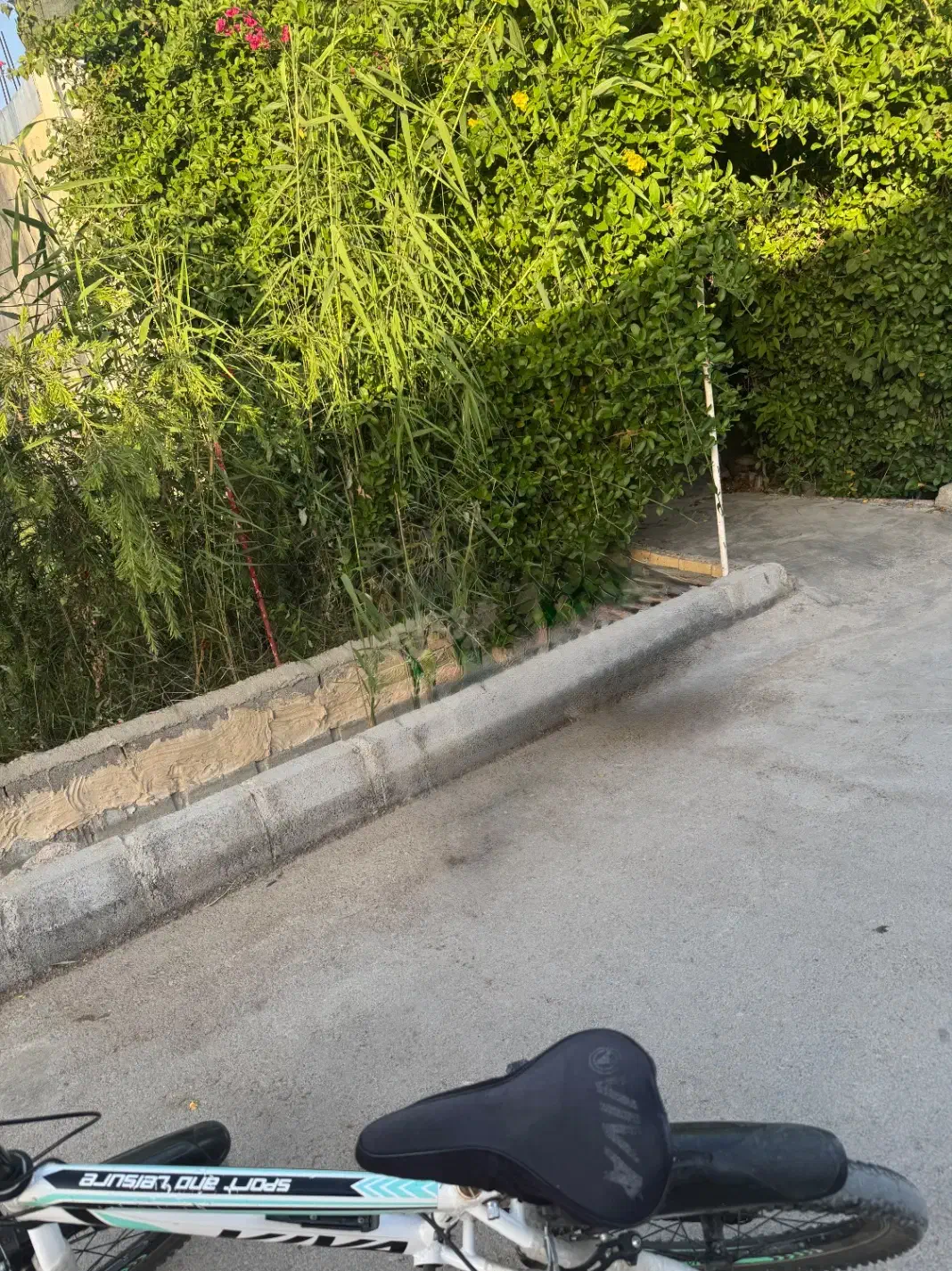 زمین باغ سرچشمه سفلی