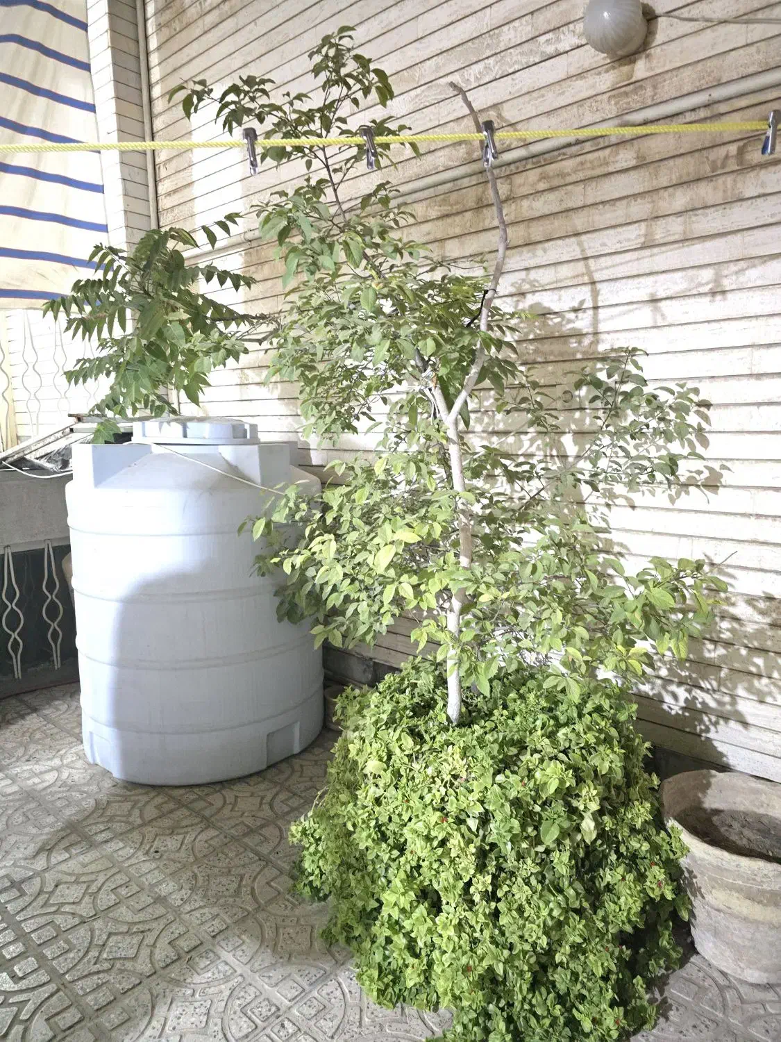 خانه ویلایی ۱۰۰ متری حیاط دار