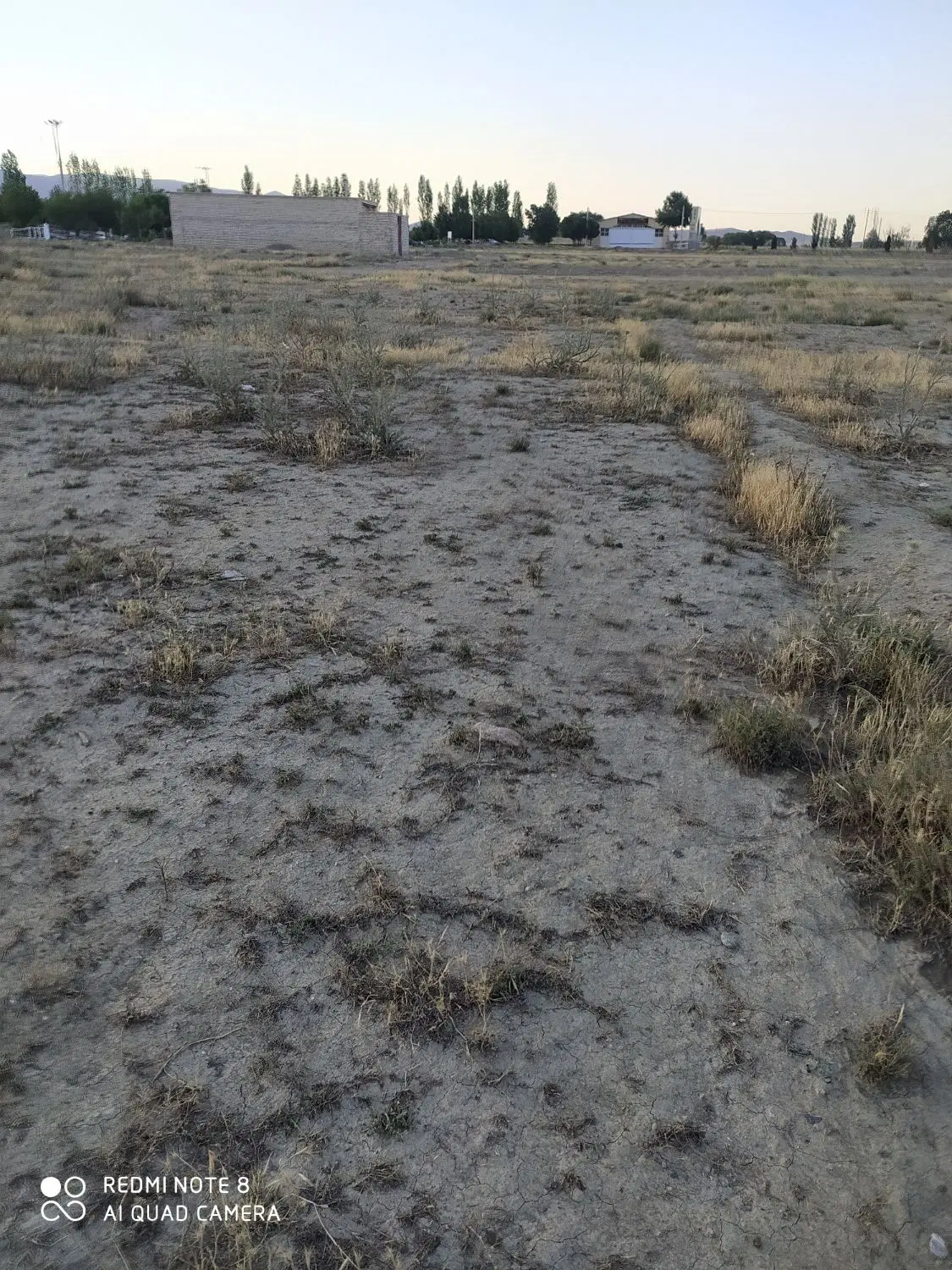 زمین بیاض هاشمی