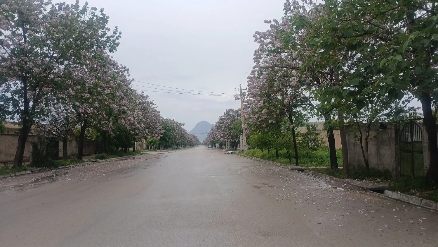 زمین کشاورزی مناسب باغ شهری