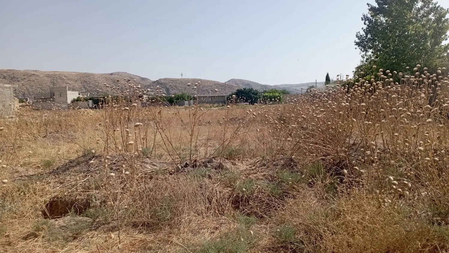 زمین مسکونی واقع در طرح هادی عالیوند