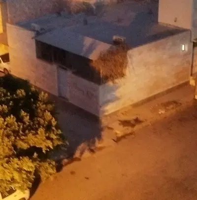 خانه ویلایی