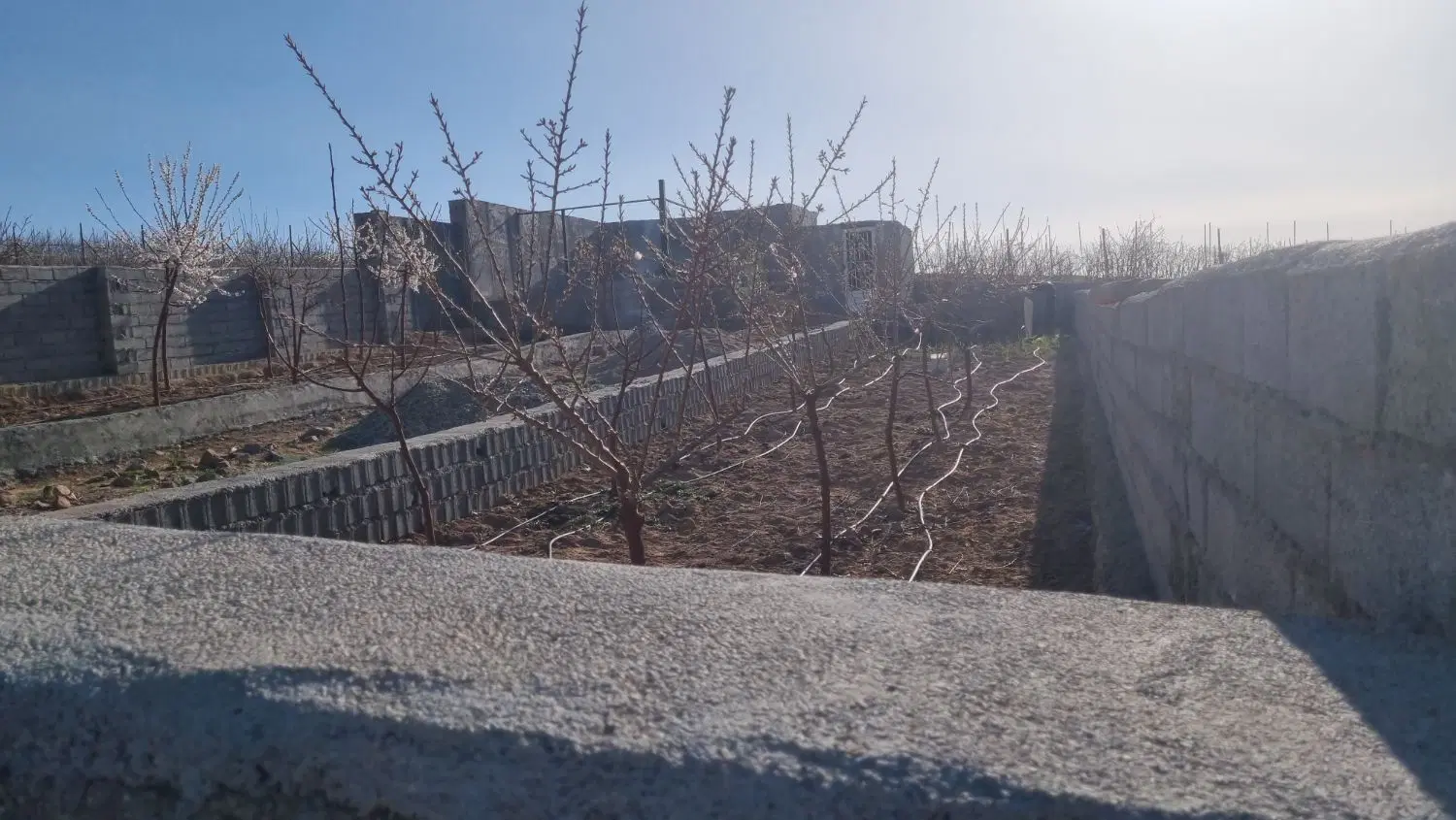 باغچه 333متری سربندان