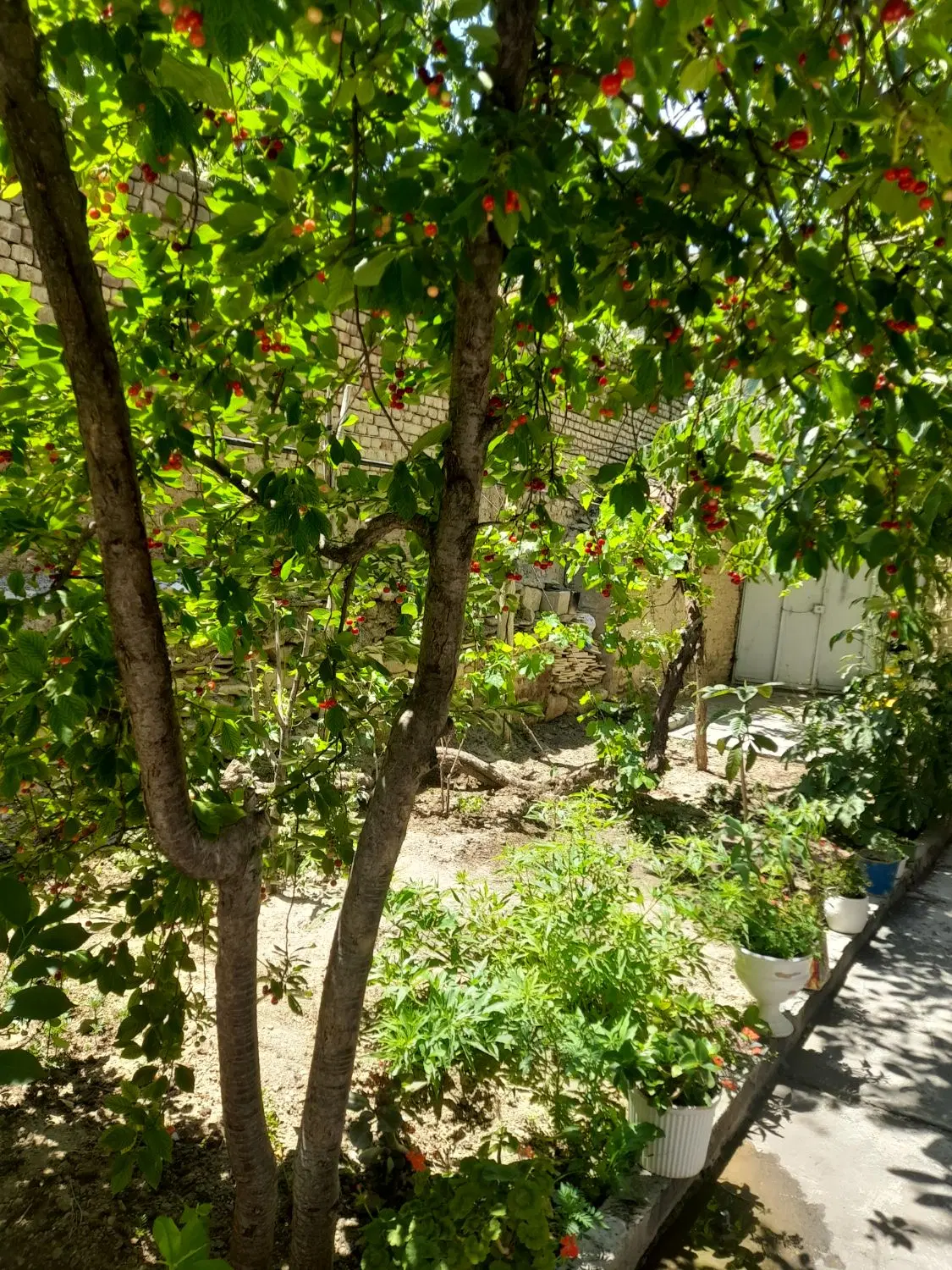 خانه ۳۰۰ متری با یک باغ ۲۰۰ متر